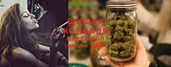 ПСИЛОЦИБИНОВЫЕ ГРИБЫ Аркадак