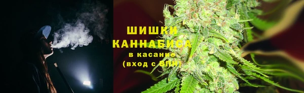 крисы Арсеньев