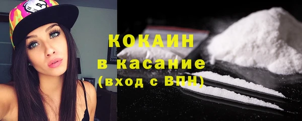 ПСИЛОЦИБИНОВЫЕ ГРИБЫ Аркадак