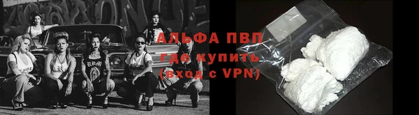 крисы Арсеньев