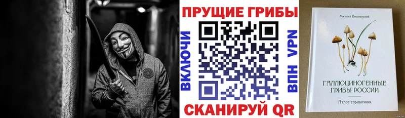 Галлюциногенные грибы мицелий цены наркотик Мурманск